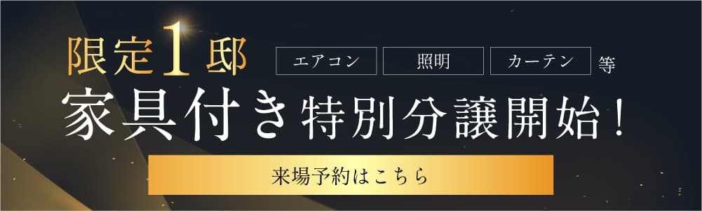 限定1邸家具付き特別分譲開始バナー。エアコン、照明、カーテン等が設置された特別な住戸が分譲中であることを告知している。